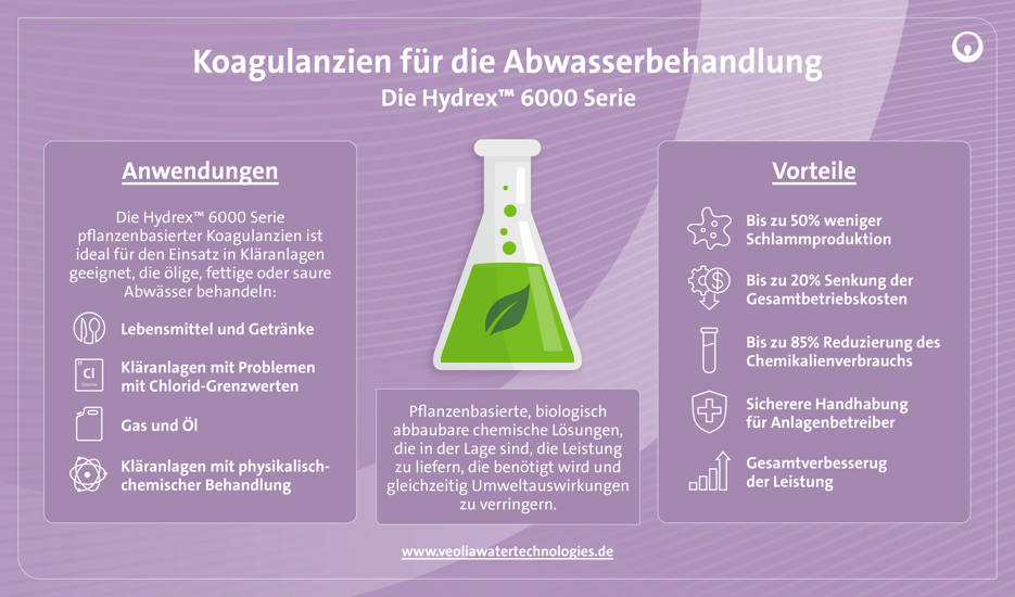 VWS_2024_001 COAGULANTS FOR WASTEWATER INFOGRAPHIC V8 (GERMAN) AW