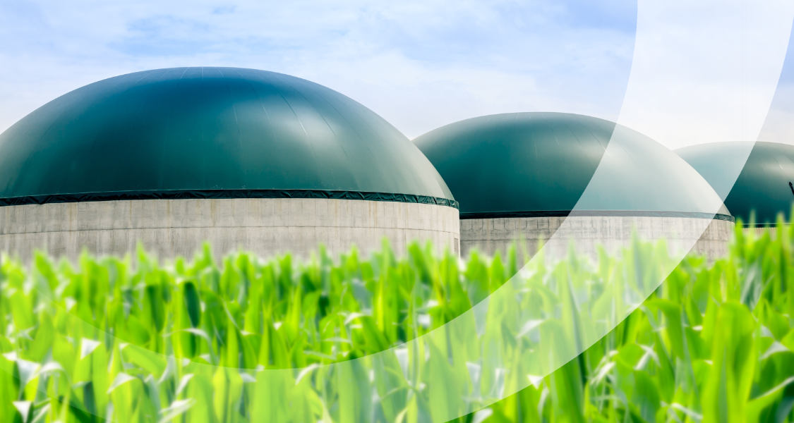 Biogas